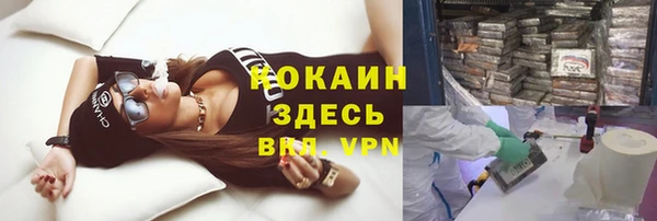 ГАЛЛЮЦИНОГЕННЫЕ ГРИБЫ Дегтярск